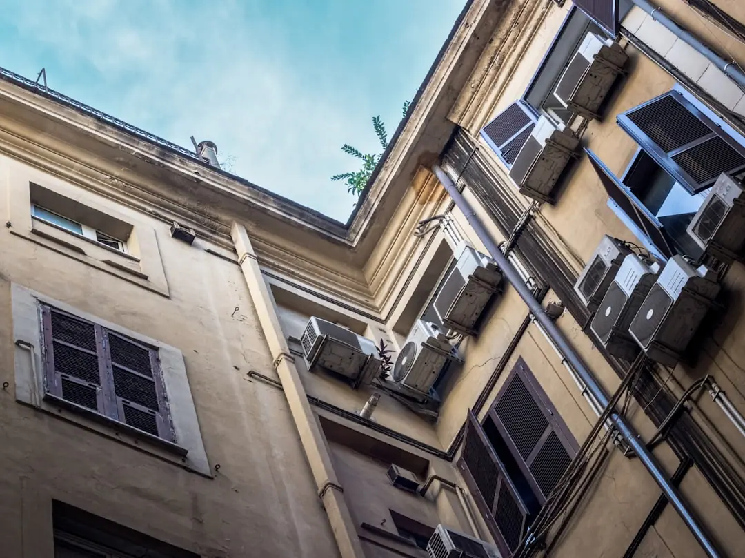 a building with windows and a tree